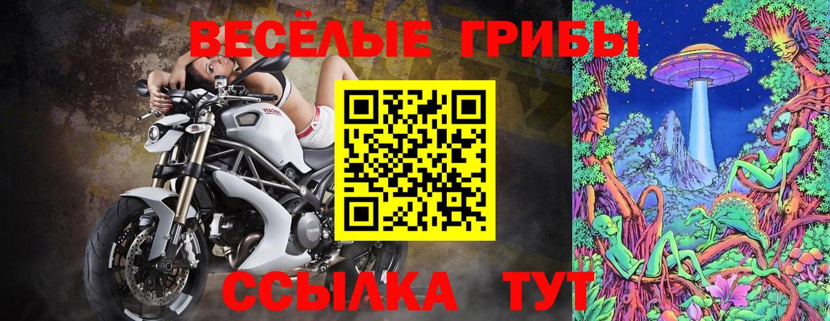 Псилоцибиновые грибы Cubensis  купить  цена  Саянск  Вход с VPN 